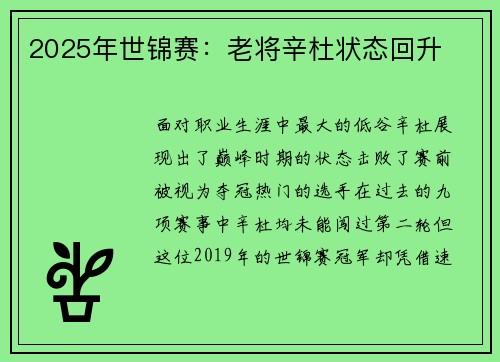 2025年世锦赛：老将辛杜状态回升